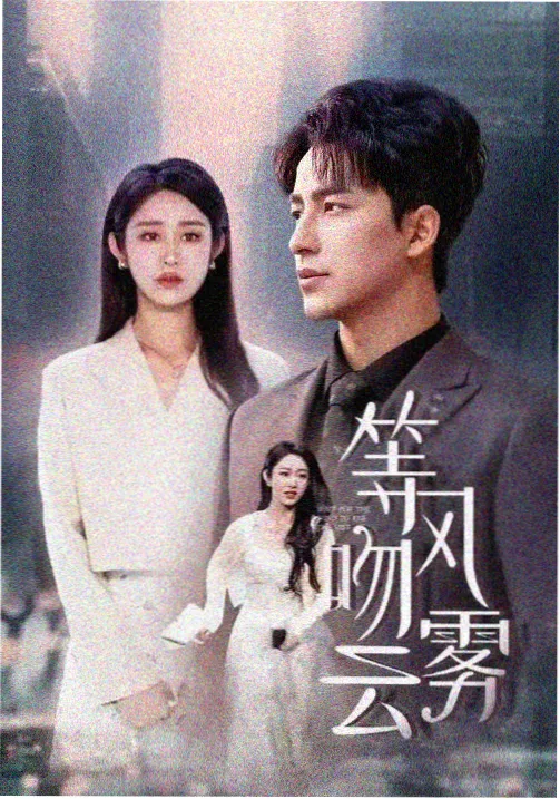 英剧雾港谜案海报